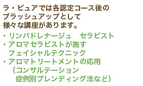 スキルアップコース２